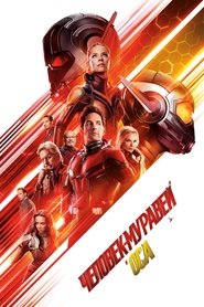 Постер фильма «Человек-муравей и Оса» (2018)