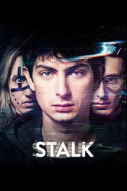 Постер сериала «Киберсталкер» (2019)