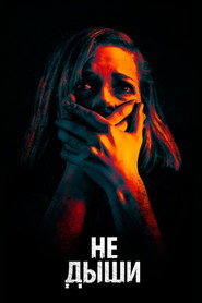 Постер фильма «Не дыши» (2015)