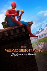 Постер фильма «Человек-паук: Возвращение домой» (2017)