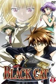 Постер сериала «Черный кот» (2005)