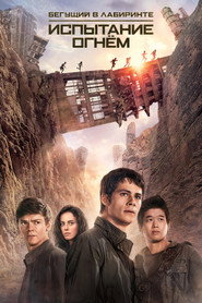Постер фильма «Бегущий в лабиринте: Испытание огнём» (2015)