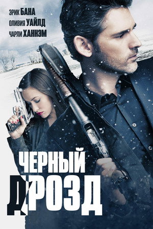 Чёрный дрозд