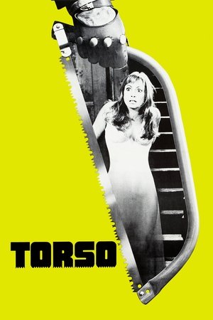 Торсо